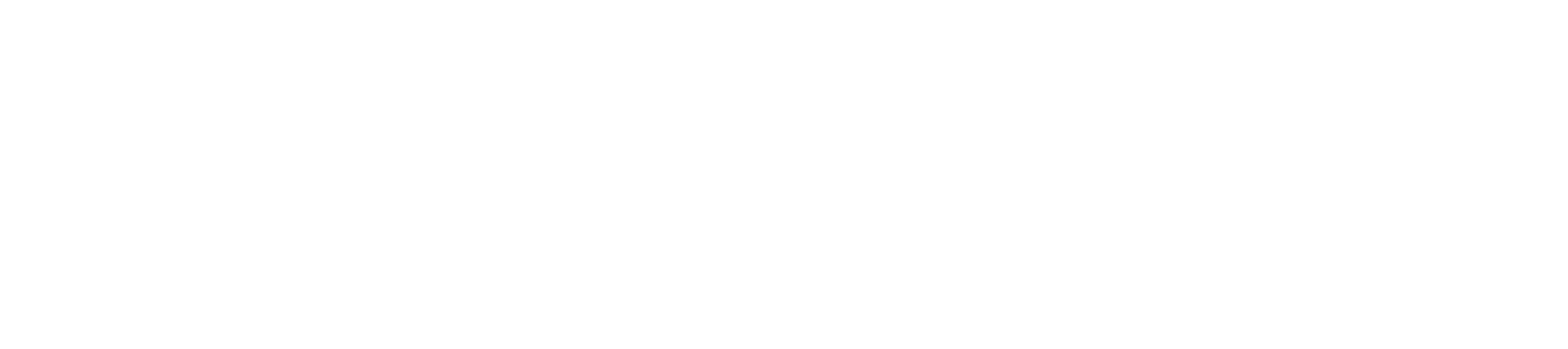 DocZoom